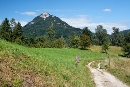 Road among meadows under the mountain in Austrian Alps