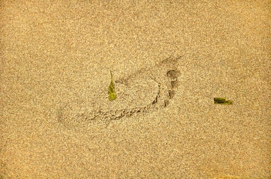 The footprint on the ocean shore sand