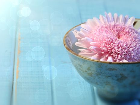 Close up of chrysanthemum flower floating in bowl of water 