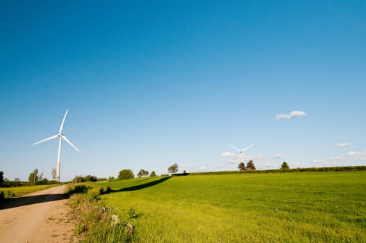 Shot of beautiful landscape, green grass and blue sky
