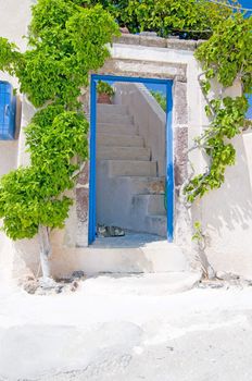 Unique Santorini architecture, beautiful buildings and green tree