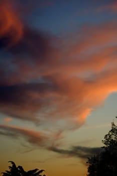  Sunset Sky Background with Trees is a beautiful orange and blue and pink sky with a unique cloud formation. 
