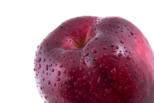 Red apple in drops of water on a white background