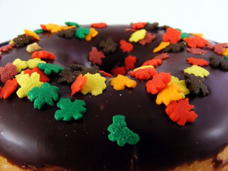 A chocolate iced donut with sprinkles on a plate.