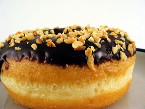 A chocolate iced donut with nuts on a plate against a white background.