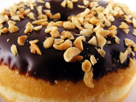 A chocolate iced donut with nuts on a plate against a white background.