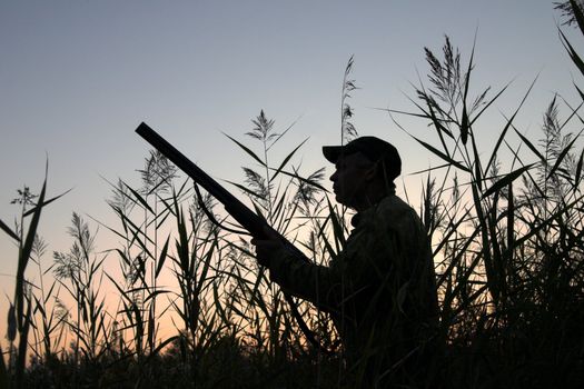 Silhouette of the hunter on a background of a morning dawn