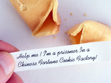 A fortune cookie with a humorous message.