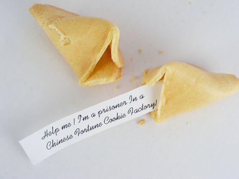 A fortune cookie with a humorous message.