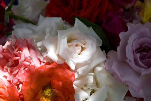 A pretty table centerpiece... that's always in bloom! 