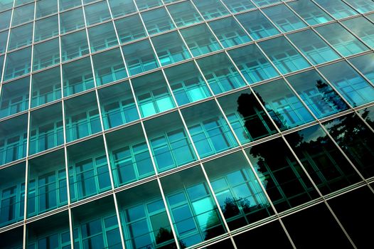 Reflections of trees in the side of a towering, glass-fronted office block