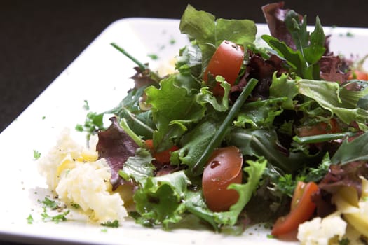 Healthy green salad dressed with cheese and cherry tomatoes