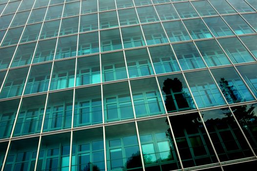 Reflections of trees in the side of a towering, glass-fronted office block