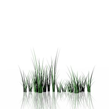 Green grass