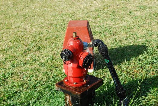 photo of a bright red fire hydrant (grass background)