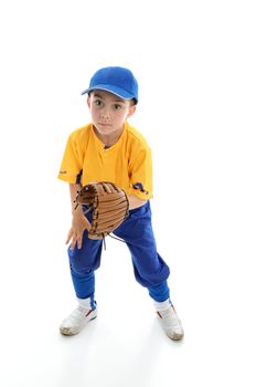 Baseball, softball or t-ball catcher ballplayer crouching with mitt.  White background.