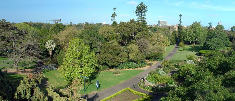 Royal Botanic Gardens panorama photo, Sydney, Australia