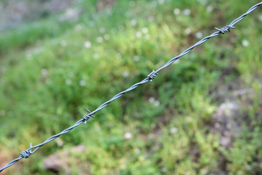 Single strand of barbed wire 