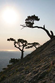 Beautiful sunrise in crimea mountains