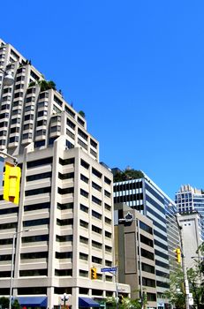 When the space for the oxygen generating trees is not enough the roofs of modern building can be used. 