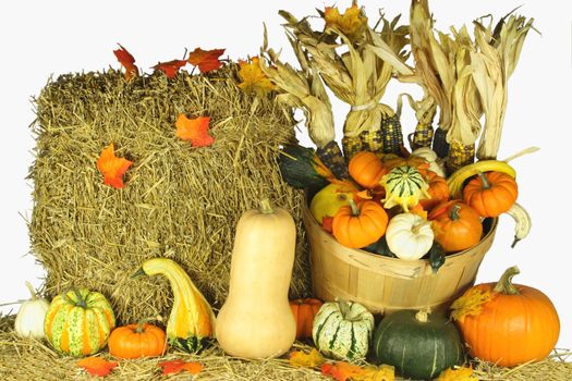 Picture of bale of hay and assorted pumpkins, squashes, gourds, corncobs and falls from the trees leaves traditional decoration for Thanksgiving Day. 