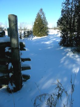 Wooden fence in the winter time. 