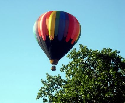 London Balloon Festival August 2007. 
