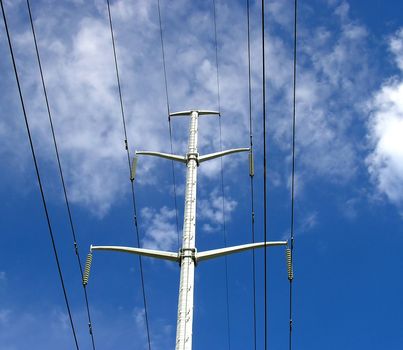 Power lines are the blood vessels of the modern world. 