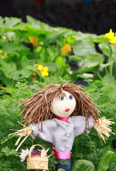 A small straw doll used as a mini scarcrow in an urban vegetable patch.