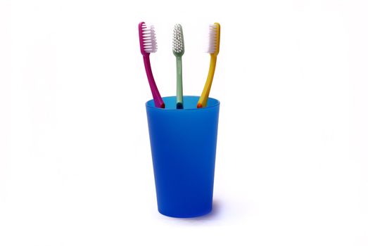 Toothbrushes in a color holder