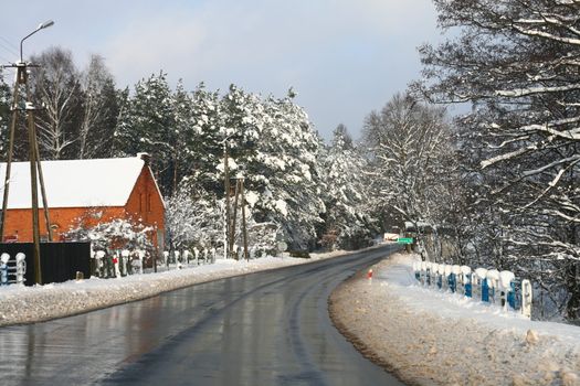 Road in winter with pines covered by snow