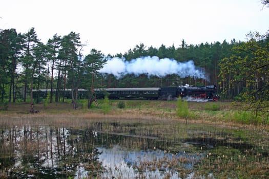 Steam retro train passing the forest