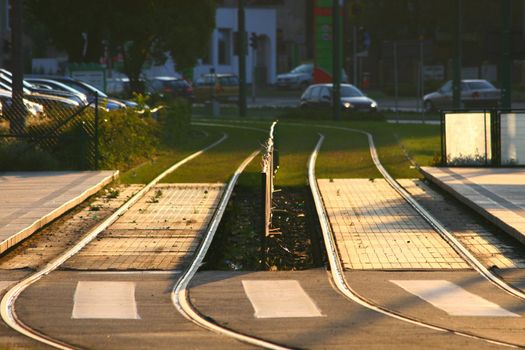 Tram tracks at downtown