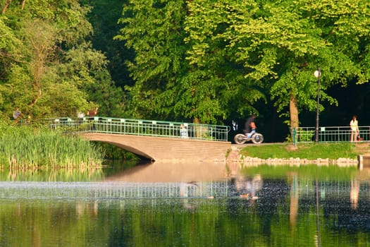 Bridge and a lake in the park