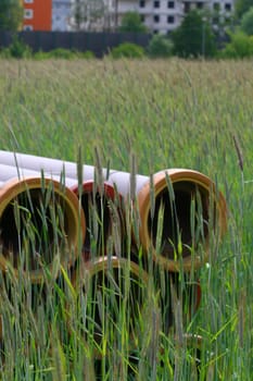 A couple of pipes laying in the wheat field