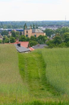 Path between the wheat fields leading to the village
