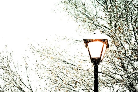 gorgeous snow grains and winter street light