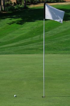 A golf green with a ball closing on the hole