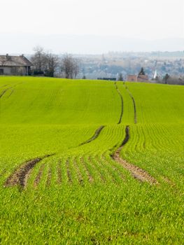 Agricultural filed near a village, shallow DoF