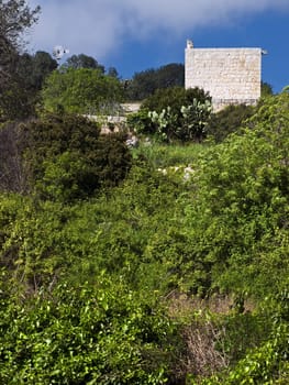 Typical Maltese farmhouse surrounded by wild green growth
