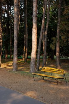 Park with bench in the autumn