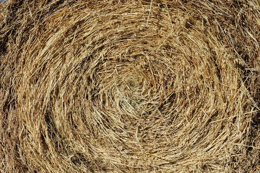 Circular pattern on a hay bail.