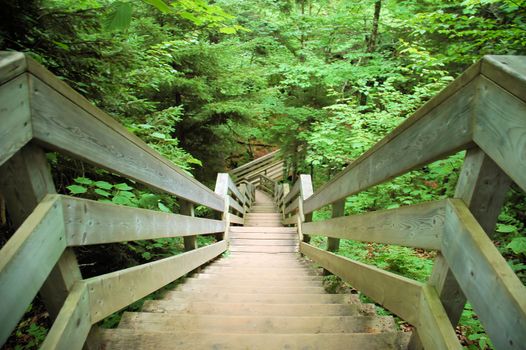 Long stairwell down a nature path.