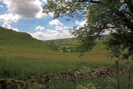 In the hills of England dry stone walls are made to divide fields as no hedges will grow in the shallow  soil.