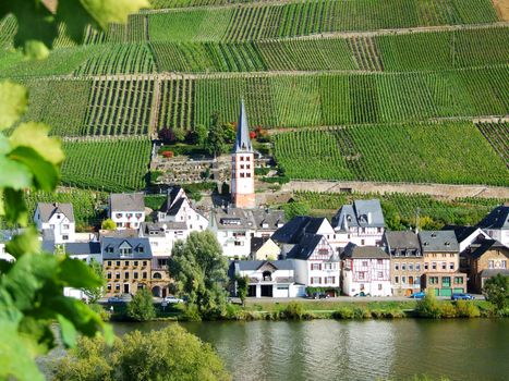 Zell-Merl an der Mosel