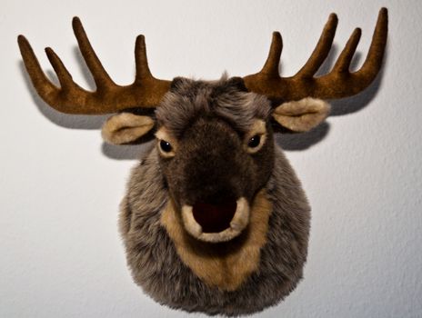 Stuffed (Toy) Deer trophy mounted on a wall