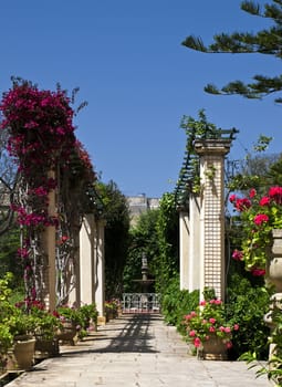 Beautiful garden in an idyllic Mediterranean setting