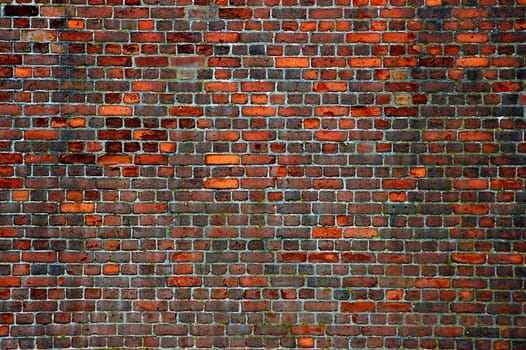A brick wall background that has been well weathered from many years of neglect.