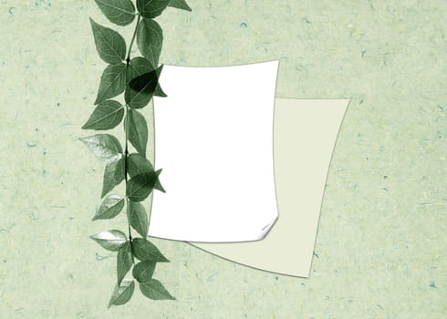 Two sheets of a paper with a branch on a gentle - green background