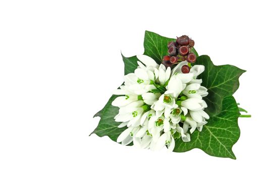 A little bouquet of snowdrops isolated on white